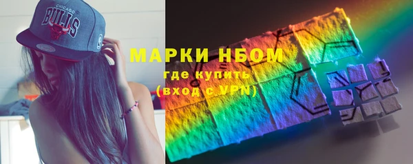ГАЛЛЮЦИНОГЕННЫЕ ГРИБЫ Касимов