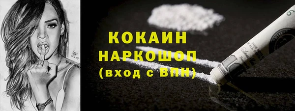 шишки Карпинск