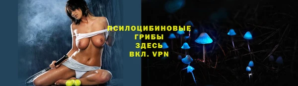 скорость Каменногорск