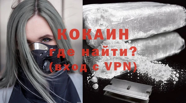 шишки Карпинск