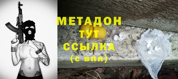 шишки Карпинск