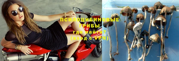 шишки Карпинск