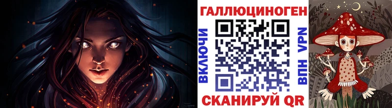 Псилоцибиновые грибы MAGIC MUSHROOMS  Княгинино 